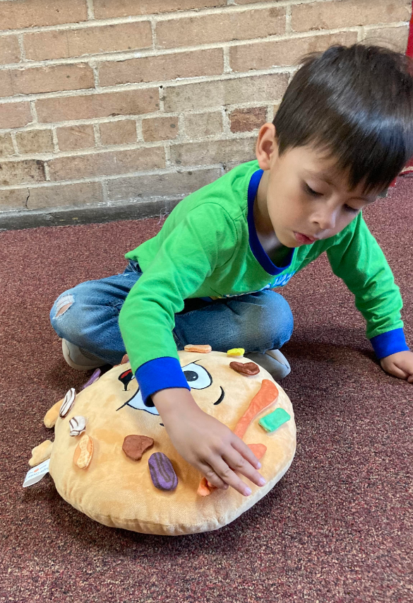 The Sugar Cookie Toy (without the book)